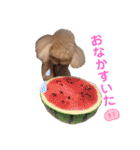 コロコロコロンちゃん（個別スタンプ：30）