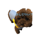 マンディンガのスタンプ（個別スタンプ：1）