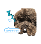 マンディンガのスタンプ（個別スタンプ：11）