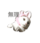 変な猫  まろ（個別スタンプ：9）