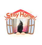 萌えちゃん（個別スタンプ：6）