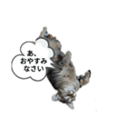 りょうととくん（個別スタンプ：3）