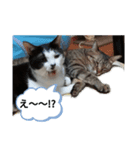 りょうととくん（個別スタンプ：6）