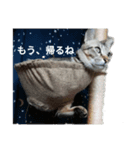 りょうととくん（個別スタンプ：8）