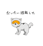 めがねいぬ2（個別スタンプ：2）