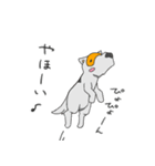 めがねいぬ2（個別スタンプ：5）
