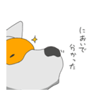 めがねいぬ2（個別スタンプ：13）