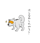 めがねいぬ2（個別スタンプ：19）
