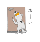めがねいぬ2（個別スタンプ：20）