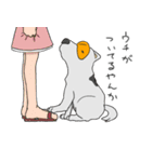 めがねいぬ2（個別スタンプ：24）