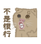 異次元生き物5（個別スタンプ：5）