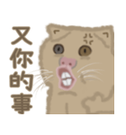 異次元生き物5（個別スタンプ：11）