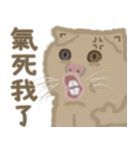 異次元生き物5（個別スタンプ：13）