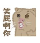 異次元生き物5（個別スタンプ：19）