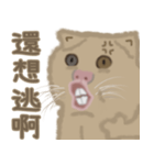 異次元生き物5（個別スタンプ：31）