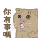 異次元生き物5（個別スタンプ：34）