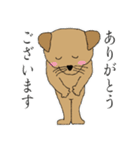 茶犬の休日（個別スタンプ：6）