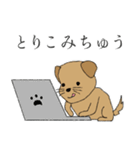 茶犬の休日（個別スタンプ：7）