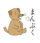 茶犬の休日（個別スタンプ：11）