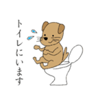 茶犬の休日（個別スタンプ：14）