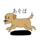 茶犬の休日（個別スタンプ：17）