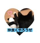 ムクさん 2（個別スタンプ：3）