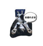 ムクさん 2（個別スタンプ：6）