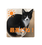 ムクさん 2（個別スタンプ：10）