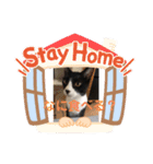 ムクさん 2（個別スタンプ：12）
