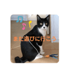 ムクさん 2（個別スタンプ：14）