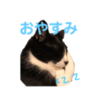 ムクさん 2（個別スタンプ：15）