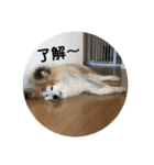 ロン・スタ（個別スタンプ：14）