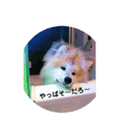 ロン・スタ（個別スタンプ：15）