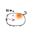 しろいもちねこ。（個別スタンプ：1）