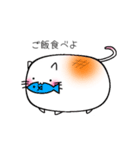 しろいもちねこ。（個別スタンプ：2）