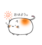 しろいもちねこ。（個別スタンプ：3）