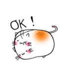 しろいもちねこ。（個別スタンプ：5）