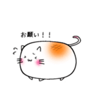 しろいもちねこ。（個別スタンプ：7）