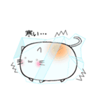 しろいもちねこ。（個別スタンプ：11）