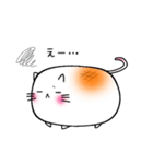 しろいもちねこ。（個別スタンプ：12）