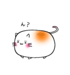 しろいもちねこ。（個別スタンプ：13）