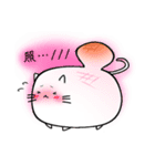 しろいもちねこ。（個別スタンプ：16）