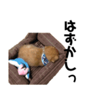 ポメックス〜ちゃちゃの1日〜（個別スタンプ：6）