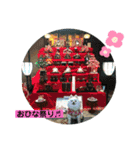 ポメコロちゃん 2（個別スタンプ：4）