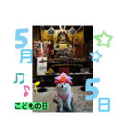 ポメコロちゃん 2（個別スタンプ：5）