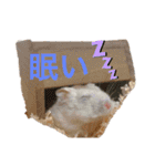 ハムスちゃん1（個別スタンプ：9）