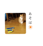 るなおじさん（個別スタンプ：6）