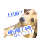 ゆあバブ♥️♥️（個別スタンプ：40）