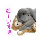 ロップイヤーのミントスタンプ（個別スタンプ：12）