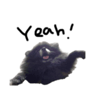 るあ（黒ポメラニアン）（個別スタンプ：7）